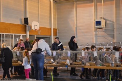 Les élèves de Jean-Moulin ont découvert en avant-première le salon avicole !