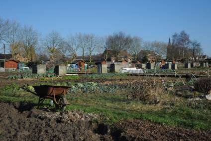 Aux jardins familiaux: c'est l'heure de piocher, de biner et de planter